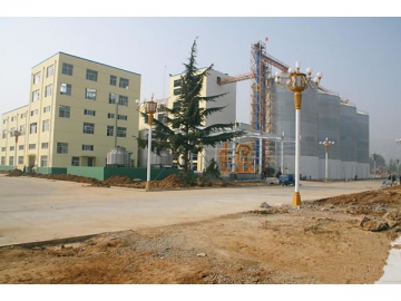 Low Temperature Soybean Meal Production Line