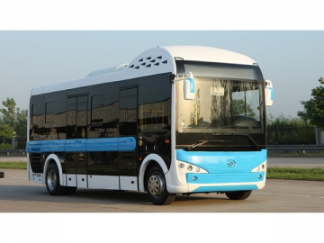 DD6821EV 8m Electric Bus