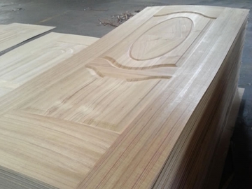 Veneered MDF Door Panel