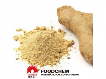 Dehydrated Ginger Powder