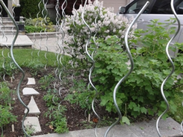 Tomato Support Spiral Wire