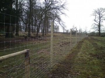 Field Fence