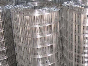 Welded Wire Mesh Rolls