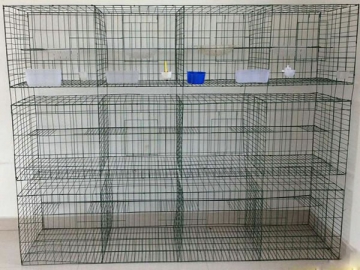 Pigeon Cage