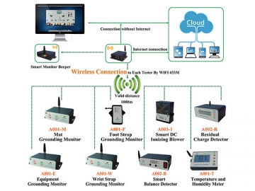 ESD Online Monitor System