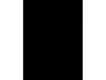 Lauramidopropyl Betaine (LAB)