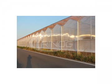 PC Greenhouse / Polycarbonate Greenhouse