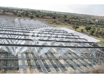 Glass Greenhouse