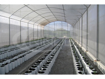 Irrigation System