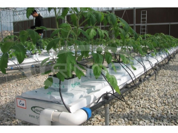 Irrigation System