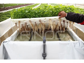 Raft Hydroponic System