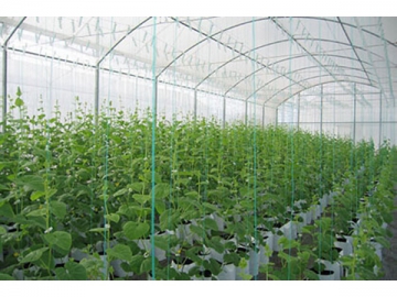 Trellis System