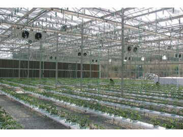 Trellis System