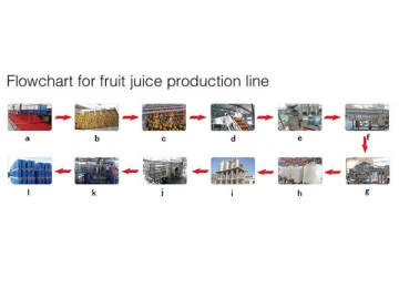 Fruit Juice Production Line