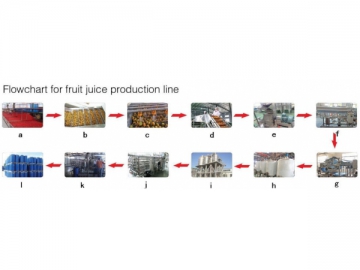 Fruit Juice Production Line