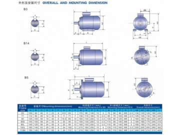 Electric Motor, ML Series