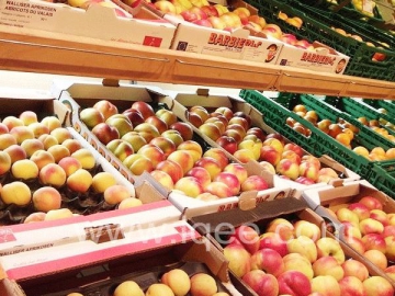 Vegetable Fruit Cold Storage