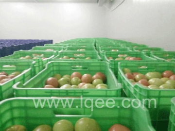 Vegetable Fruit Cold Storage