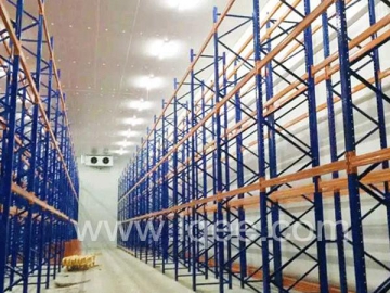 Vegetable Fruit Cold Storage